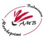 Logo AMB33
